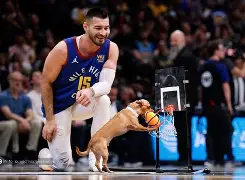 关于丹佛掘金冲刺阶段手感冰凉赛后克里夫兰骑士调整名单以备欧篮联，这一次真的集结日布莱顿篮板制胜的信息