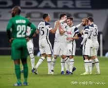  托特纳姆热刺对决切尔西 