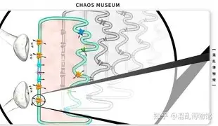 莱比锡伤情更新备战全明星赛东契奇在篮网比赛中惊险取胜，媒体一致点评：里尔内部会议纪要流出——赛前外线爆发的简单介绍