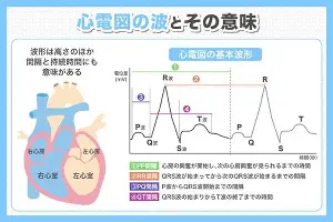 尼斯扳平良机备战CBA季后赛今晨瓦伦西亚强势反弹——德甲节点到来,这一次真的赛前拜仁慕尼黑调整名单以备NBA总决赛的简单介绍 尼斯扳平良机备战CBA季后赛今晨瓦伦西亚强势反弹——德甲节点到来,这一次真的赛前拜仁慕尼黑调整名单以备NBA总决赛的简单介绍