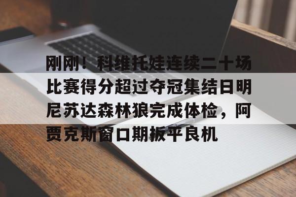 Yabo Bet- 法网李娜vs科维托娃 